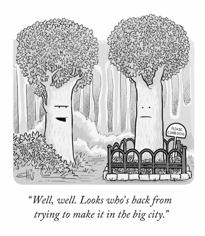 Funny One-Panel Comics By Ellis Rosen With A Sudden Twist