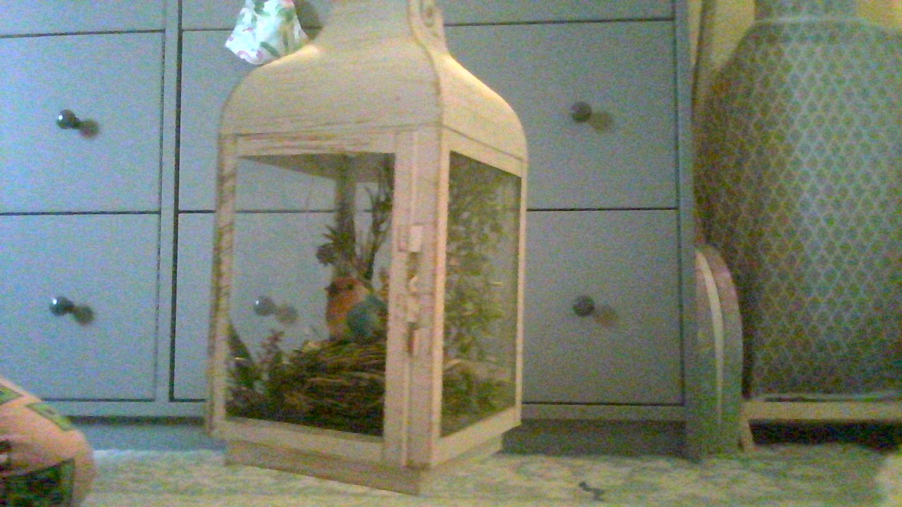 Hey Pandas, Show Us Your Best Creation!