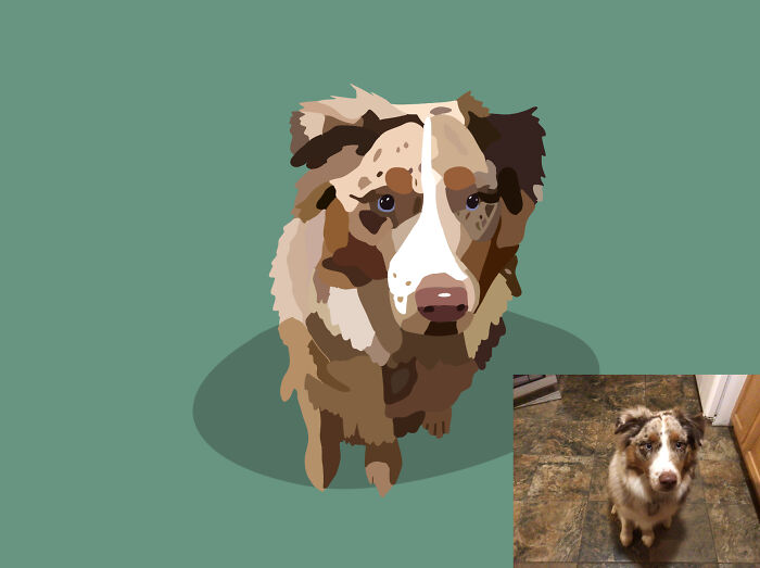 This Is Jasper, Its Safe To Guess That He Already Loves You. He Also Has One Blue Eye, And One Half Brown Half Blue Eye!