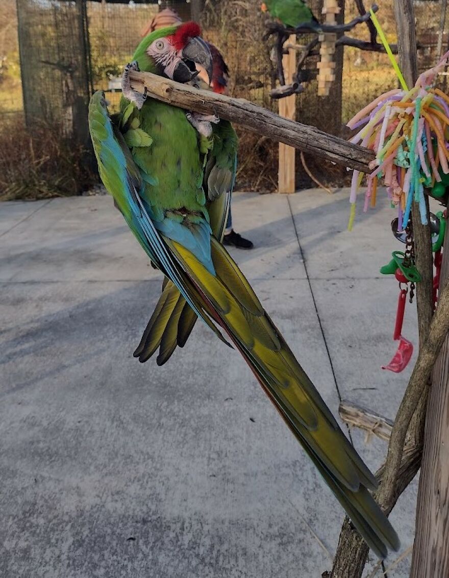 Max Wants You All To See All Of His Beautiful Colors