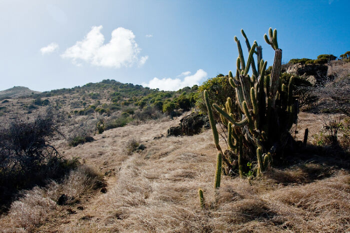 Guana Bay, Sint Maarten