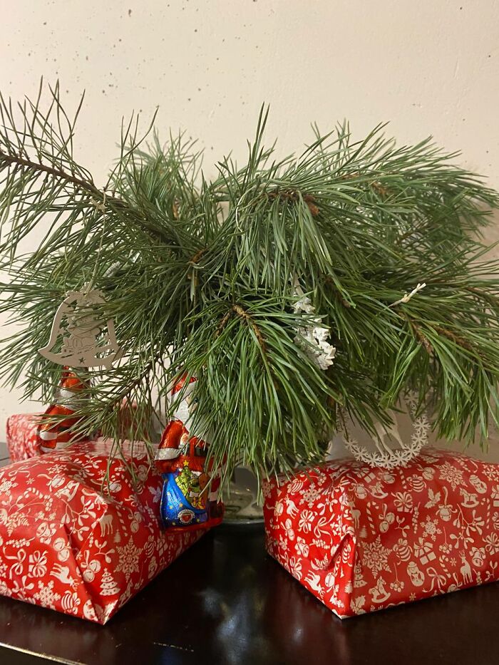 This Spruce Bouquet Fills The Room With A Forest Scent