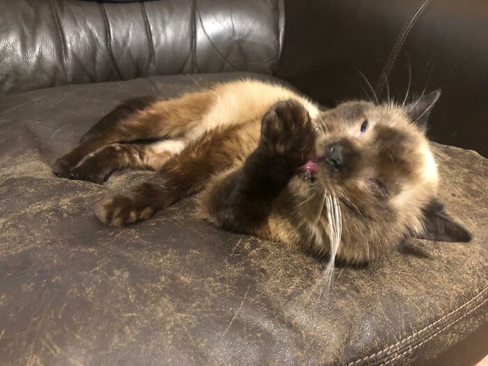 Couldn't Find The Picture, But I Gave My Dad A Pillow Of This Monster