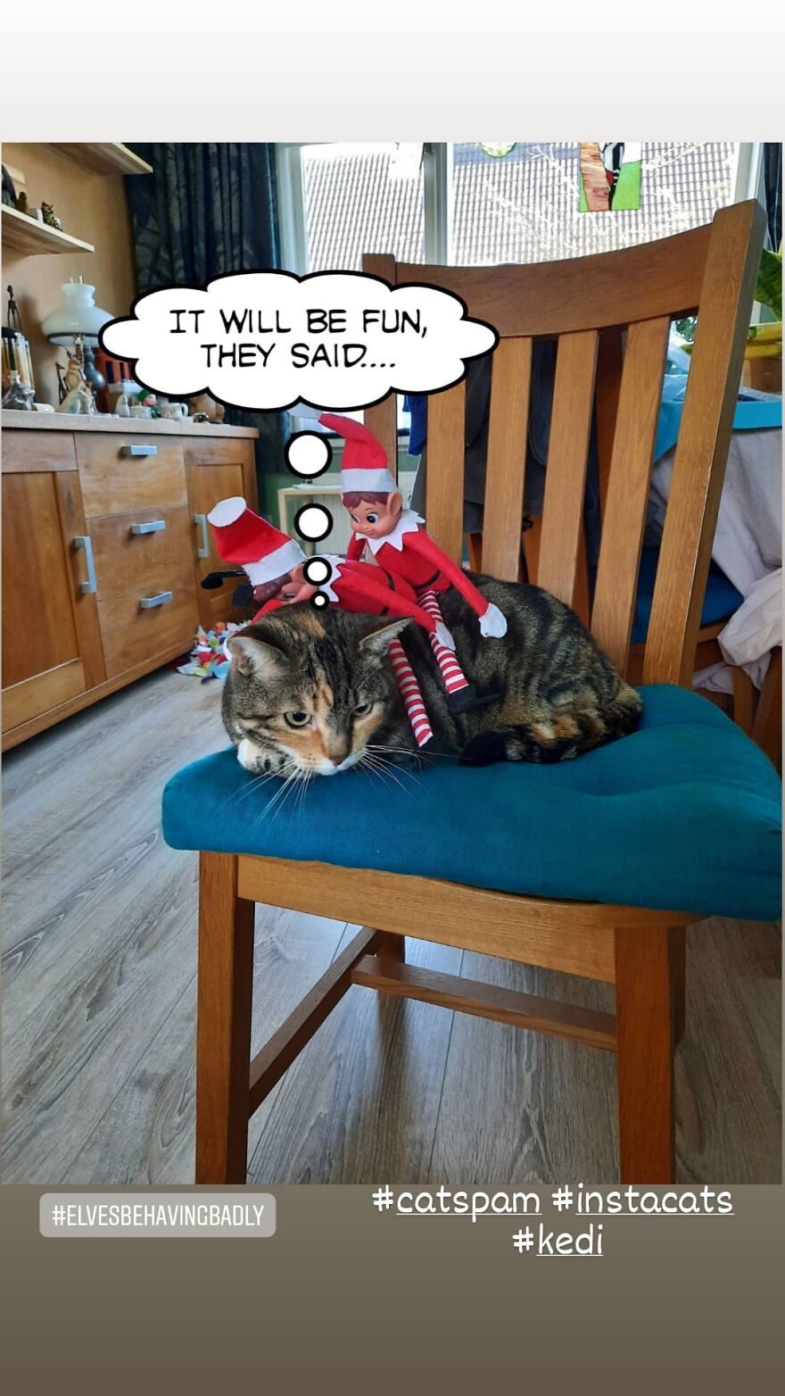 Take Sum Elves They Said.. #plushgonewild