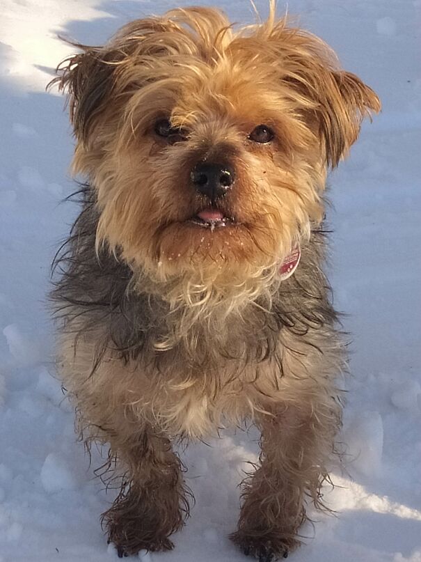 My Little One Enjoying The Snow