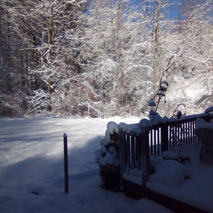 Backyard Of My Little Piece Of Paradise