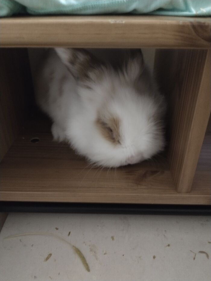 Sleepy Or Plotting How To Steal The Food Bag? What Ever The Case She Is So Cute 😍