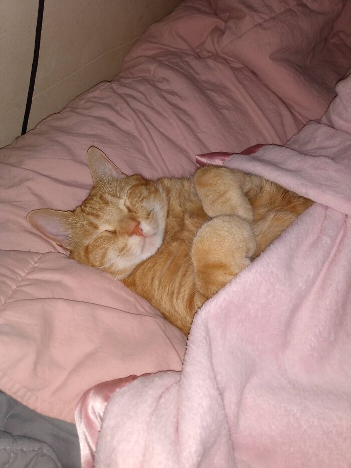 Our Flewfin. Exhausted..he's The Best