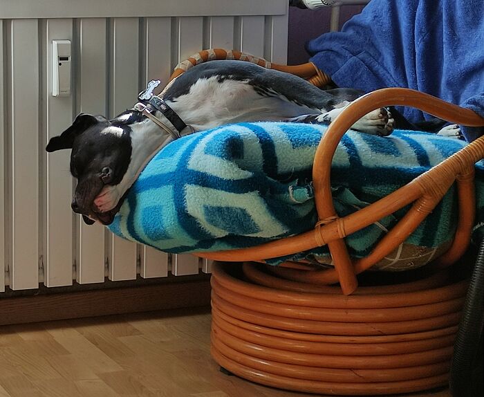 Don't Ask.... This Is How I Like To Sleep