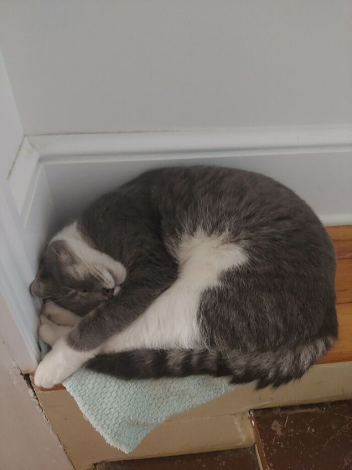 Bib On A Washcloth In A Stairs Corner