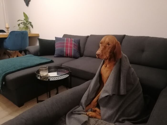 Mid Nap "No Idea What Day Of The Week It Is" Face