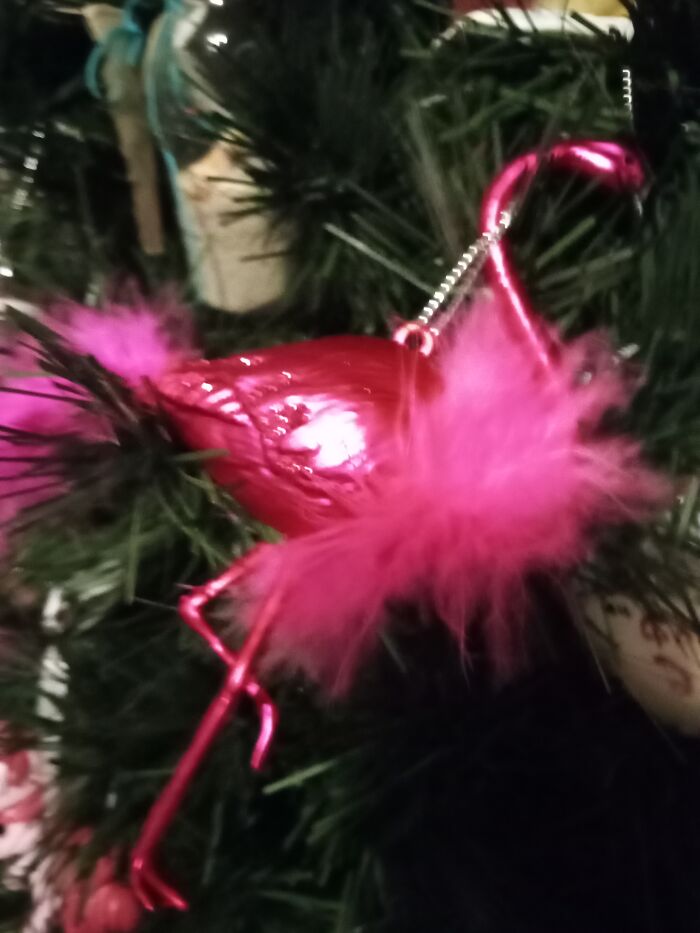 Fluffy Flamingo Friend