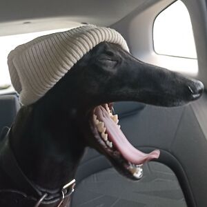 thatjamiebarton avatar