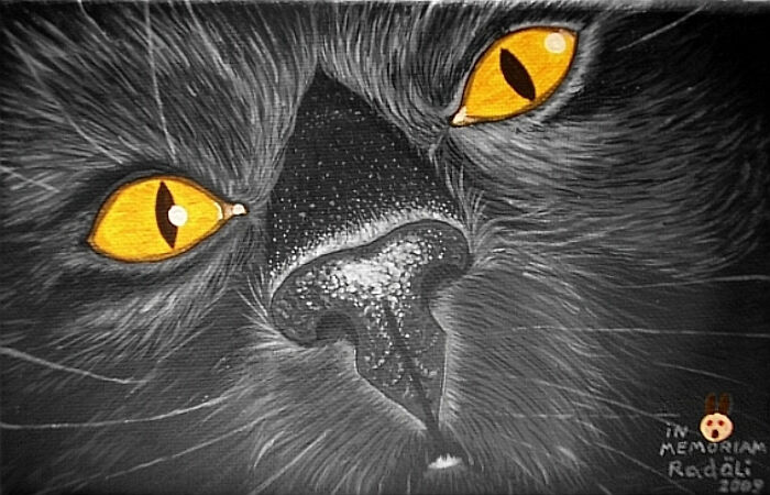 Sabata Ready For Boop