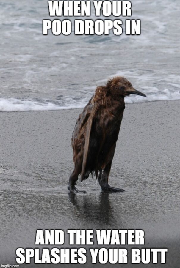 The Words Perfectly Match The Facial Expression