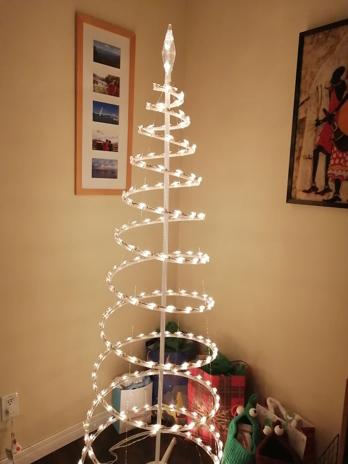 Minimalism Meets Cats