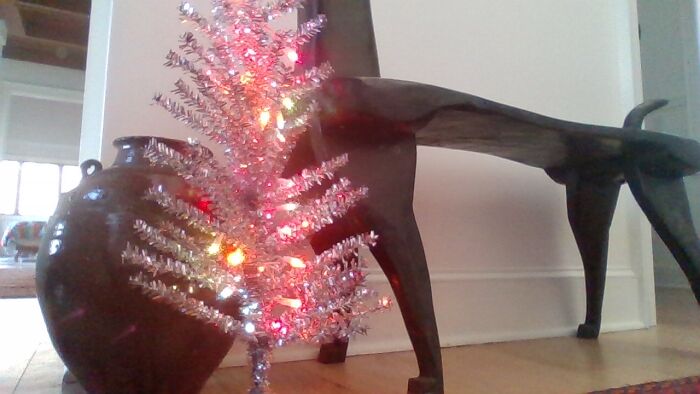 A Cute Rainbow/Gay Christmas Tree! (Sorry The Lighting Is Bad!)