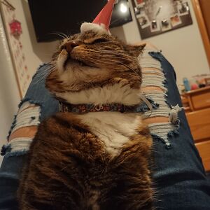 raeganmattingly avatar