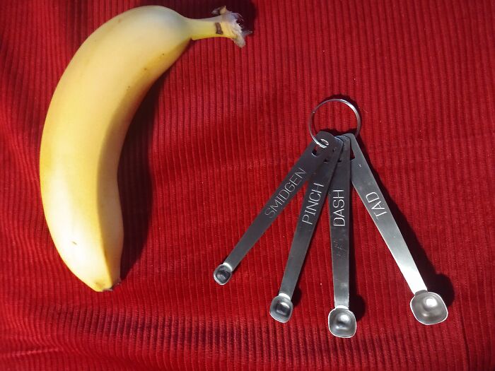 The Present That Made Me Laugh Out Loud