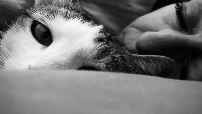 Iolanda & Mrs. Chippy