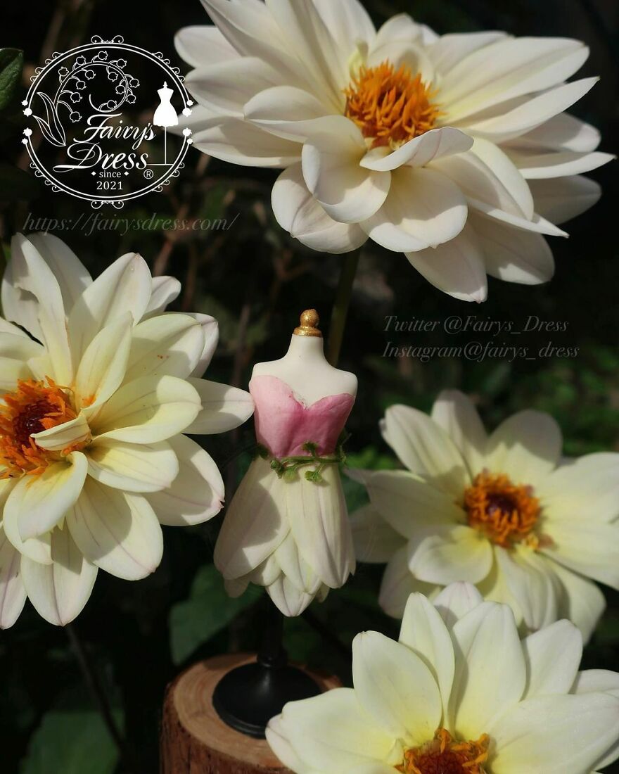 Japanese Artist Makes Delicate And Beautiful "Fairy Dresses"