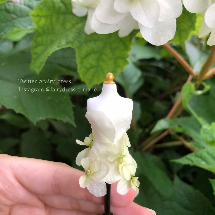 Japanese Artist Makes Delicate And Beautiful "Fairy Dresses"