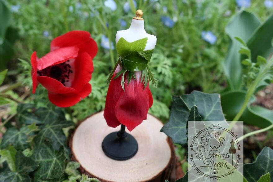 Japanese Artist Makes Delicate And Beautiful "Fairy Dresses"