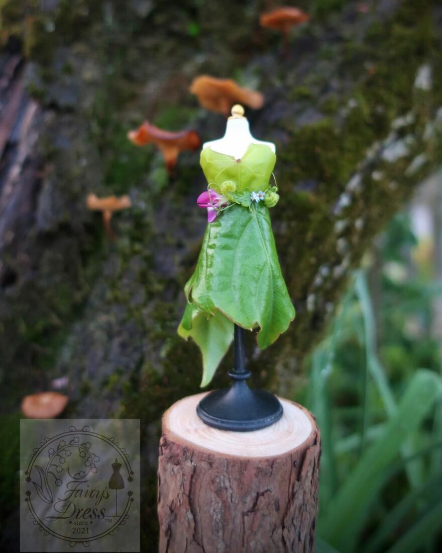 Japanese Artist Makes Delicate And Beautiful "Fairy Dresses"