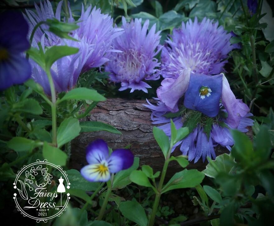 Japanese Artist Makes Delicate And Beautiful "Fairy Dresses"