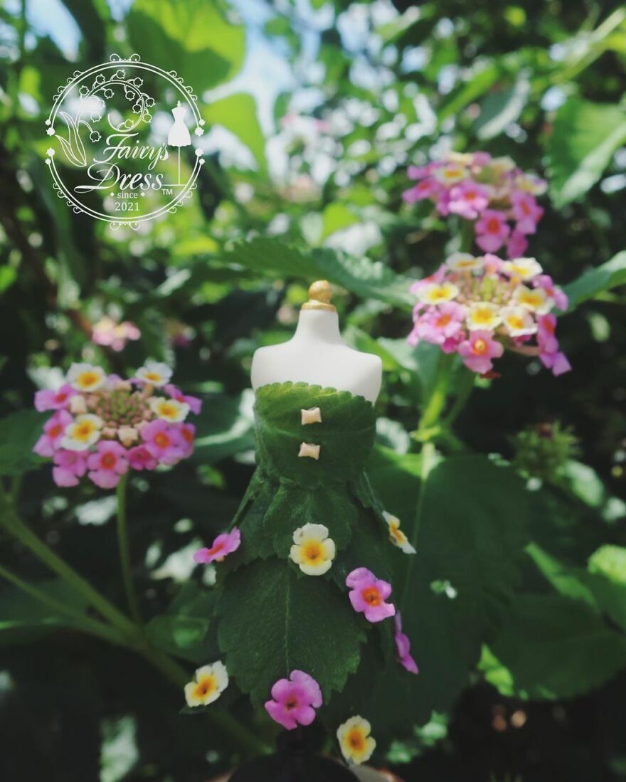 Japanese Artist Makes Delicate And Beautiful "Fairy Dresses"