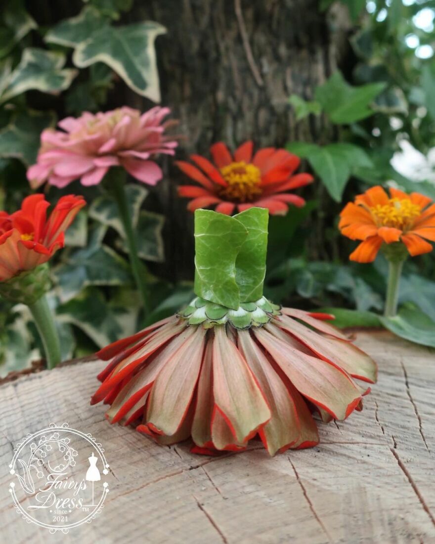 Japanese Artist Makes Delicate And Beautiful "Fairy Dresses"