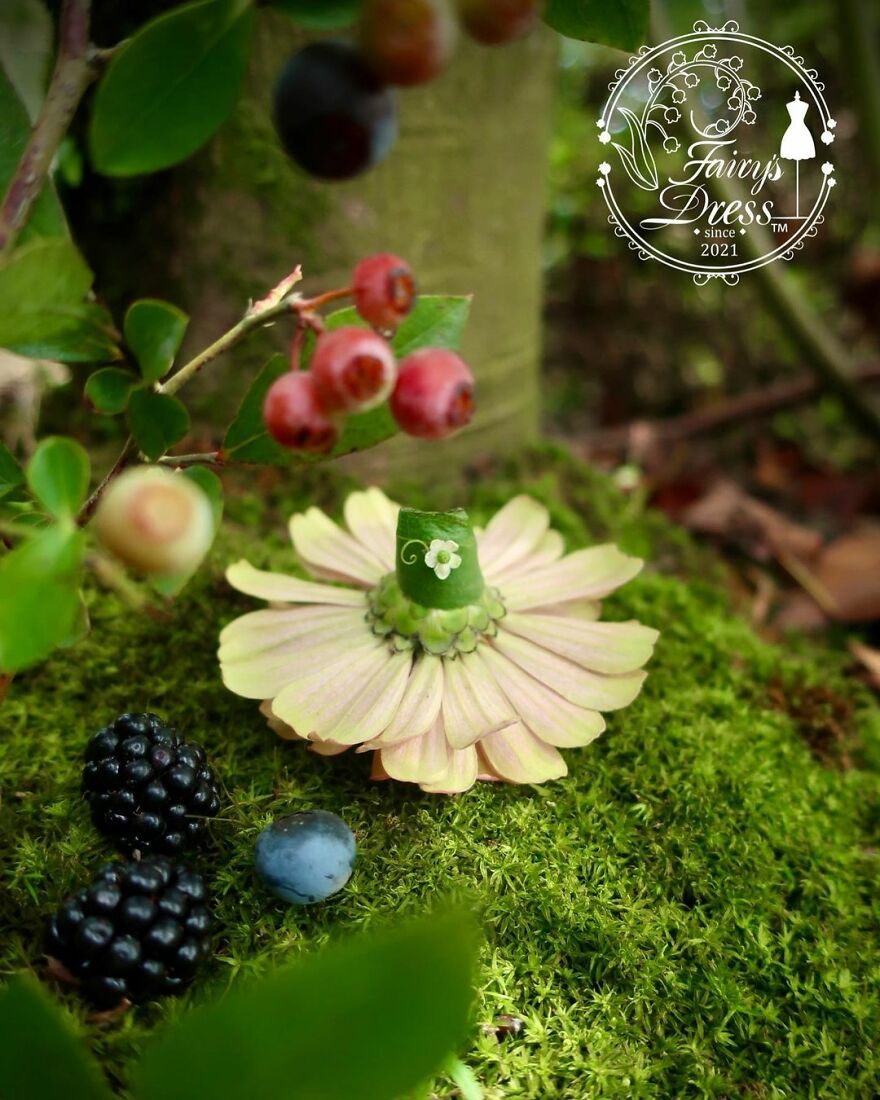 Japanese Artist Makes Delicate And Beautiful "Fairy Dresses"