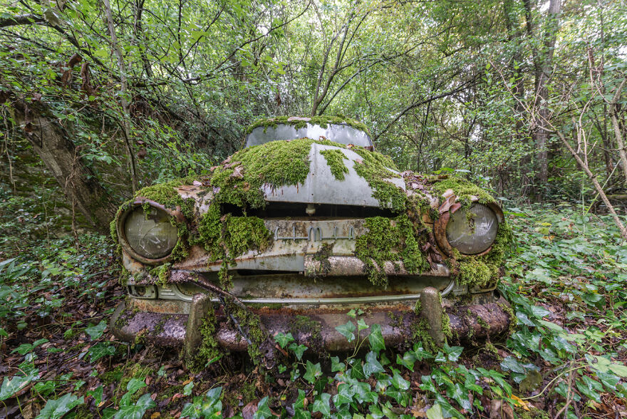 Luxuria: The World Without Us