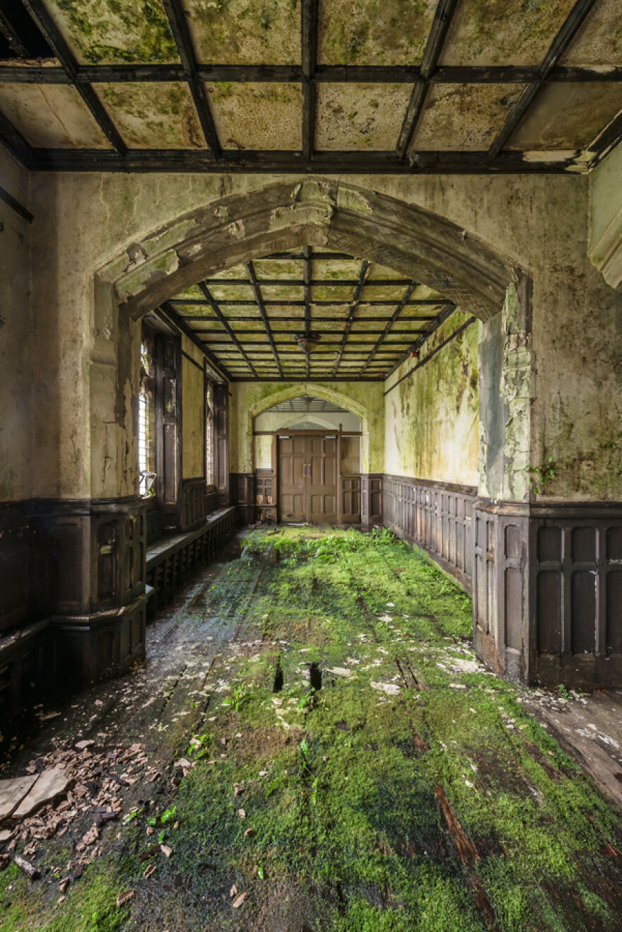 Luxuria: The World Without Us