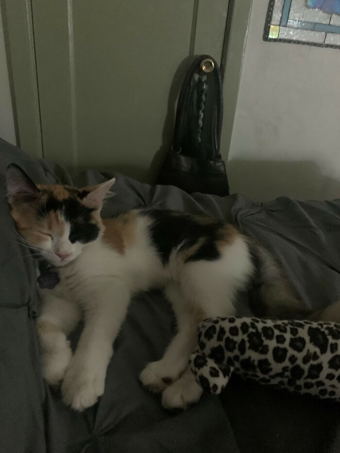 #108 My Sweet Sleepy Maddie