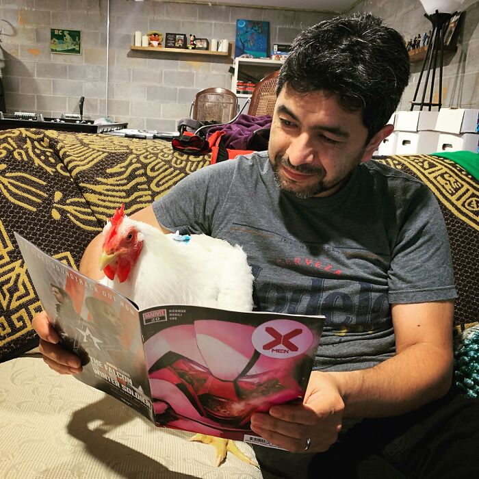 Boo Was Rescued From A Meat Factory 5 Years Ago, And His Life Shines In New Colors Ever Since