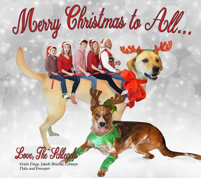 Creating Eccentric Christmas Cards Has Become A Hilarious Holiday Tradition For Our Family