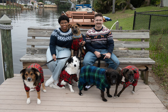 Couple seated on a wooden bench with six dogs in plaid outfits, celebrating with an awkward 80's-themed photoshoot.
