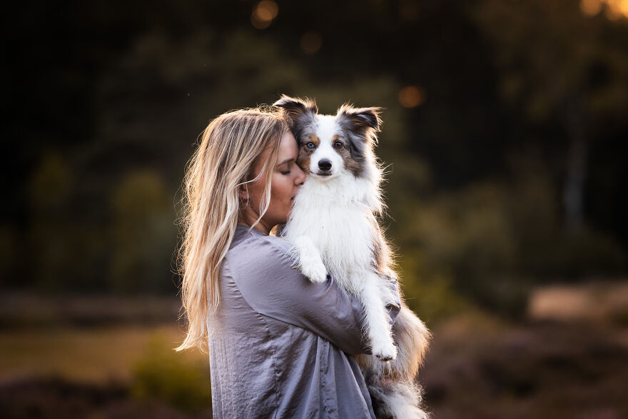 My Favorite Photo's I Have Taken Of Dogs In 2022