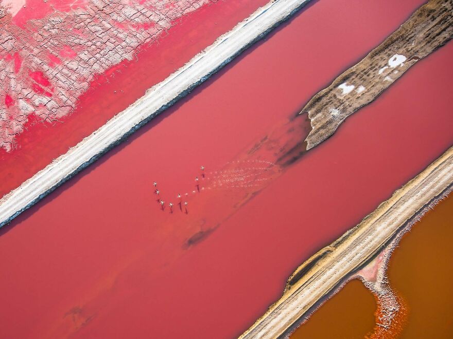 Category Human And Nature: Runner-Up, 'Flamingo Airport' By Tamani Cédric