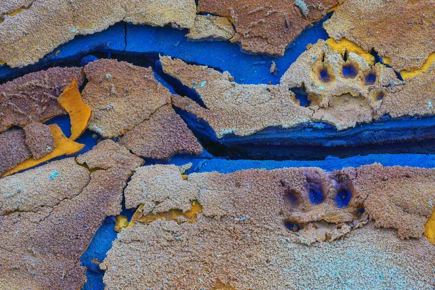 Category Nature Art: Runner-Up, 'Footprints In Color' By Juan Garcia Lucas