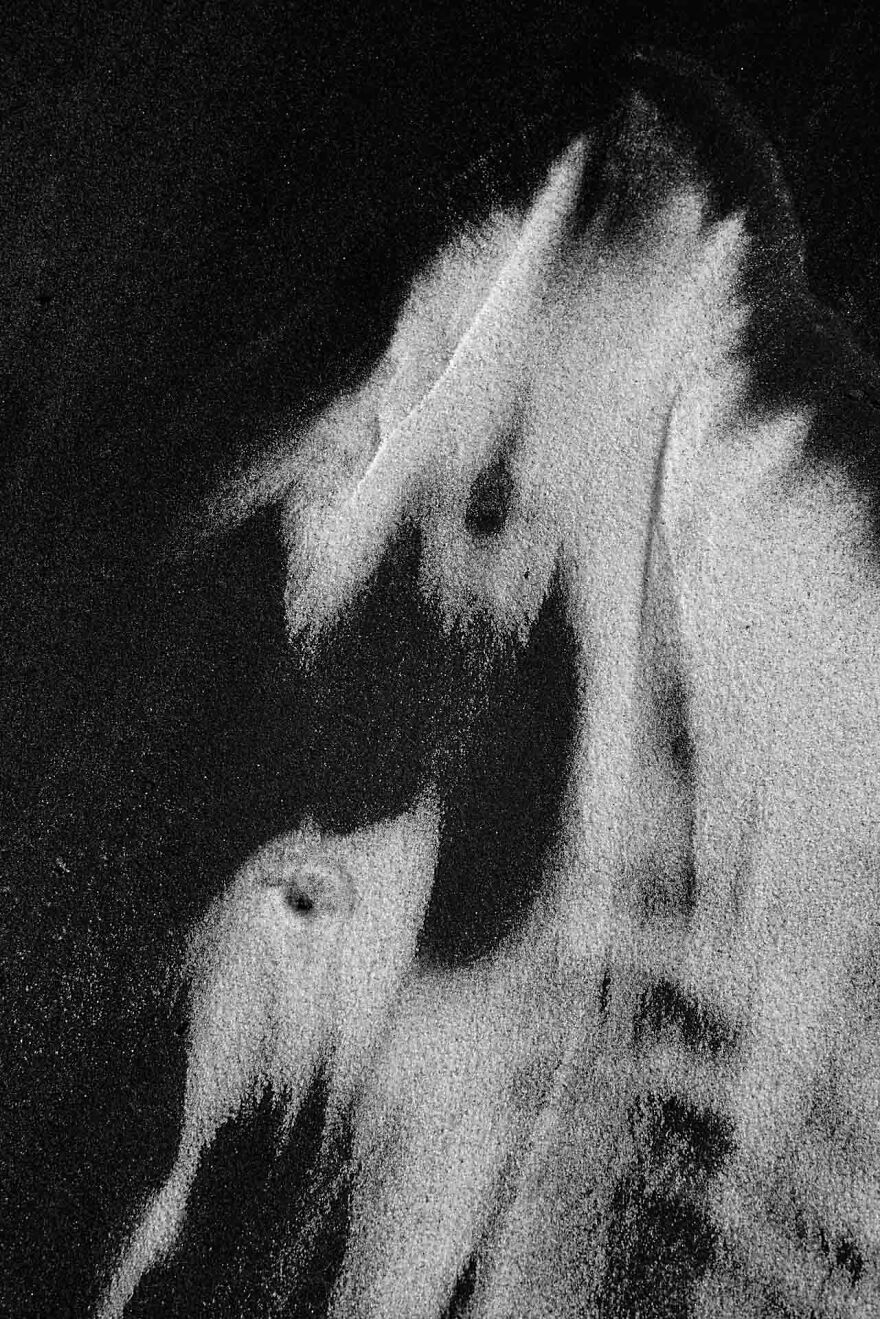 Category Nature Art: Highly Commended, 'My Lovely Baby' By Javier Herranz Casellas