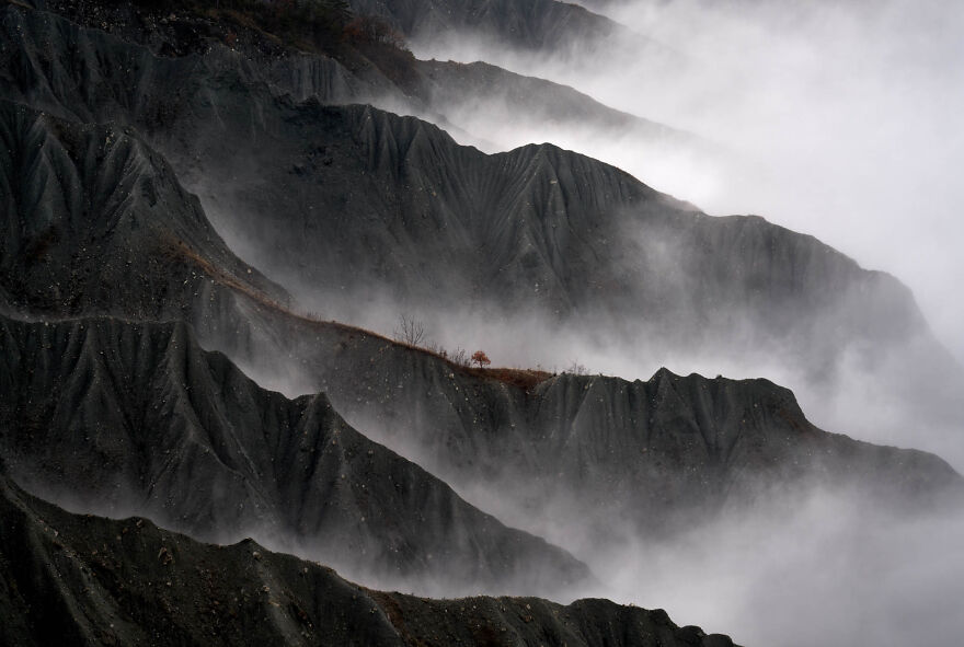 Category Landscapes: Runner Up, 'Resilient Tree' By Gianluca Gianferrari