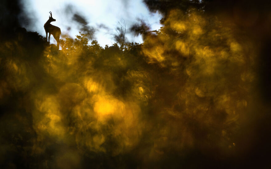 Category Youth: Highly Commended, 'View Over World Of Colours' By Anton Trexler