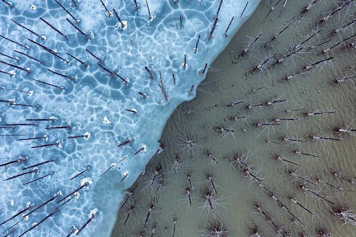 Aerial view of frozen and thawed wetlands with bare trees, featured in nature photographer winning pictures 2022.