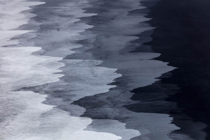 Abstract black and white nature photograph showing striking contrast and texture, featured in winning nature photographer of the year pictures.