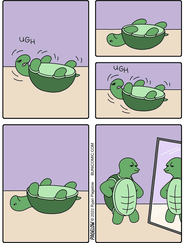 A comic artist's illustration of a turtle struggling to flip over and then confidently posing in front of a mirror.