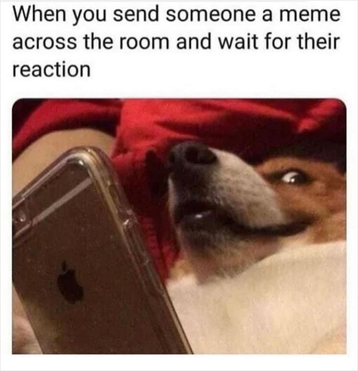 Official-Mens-Humor-Facebook