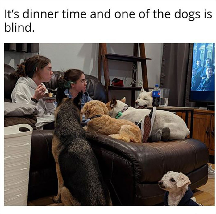 Official-Mens-Humor-Facebook