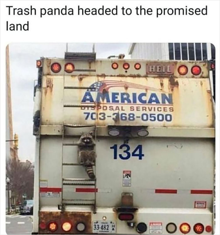 Official-Mens-Humor-Facebook